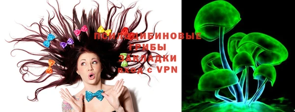 прущие грибы Алексеевка