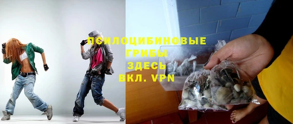 прущие грибы Алексеевка