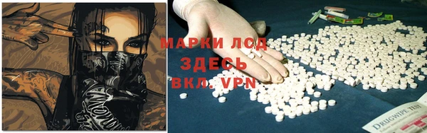 прущие грибы Алексеевка