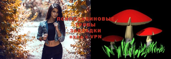 спайс Алзамай