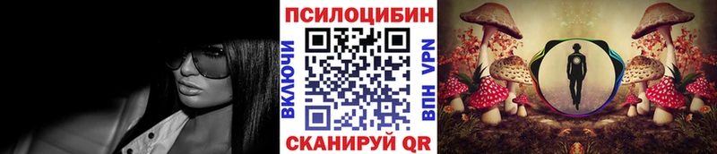 даркнет формула  Кириши  Псилоцибиновые грибы MAGIC MUSHROOMS  сколько стоит 